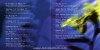 LE CANZONI D’AMORE