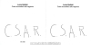 C.S.A.R.